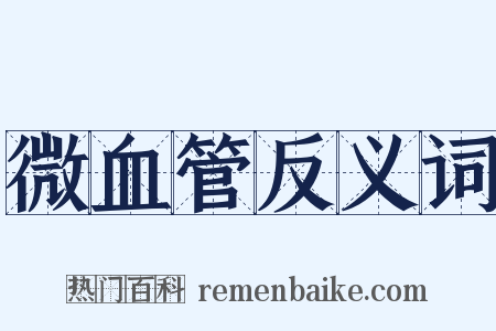 微血管反义词是什么意思的图片